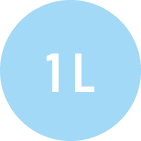 1 L